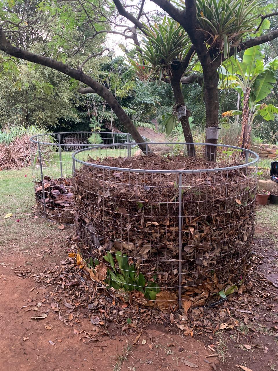 Imagem do WhatsApp de 2025-09-25 à(s) 10.27.07_f0e4211b.jpg