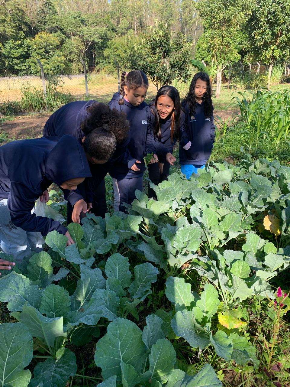 Imagem do WhatsApp de 2025-09-25 à(s) 10.31.38_7f67f510.jpg