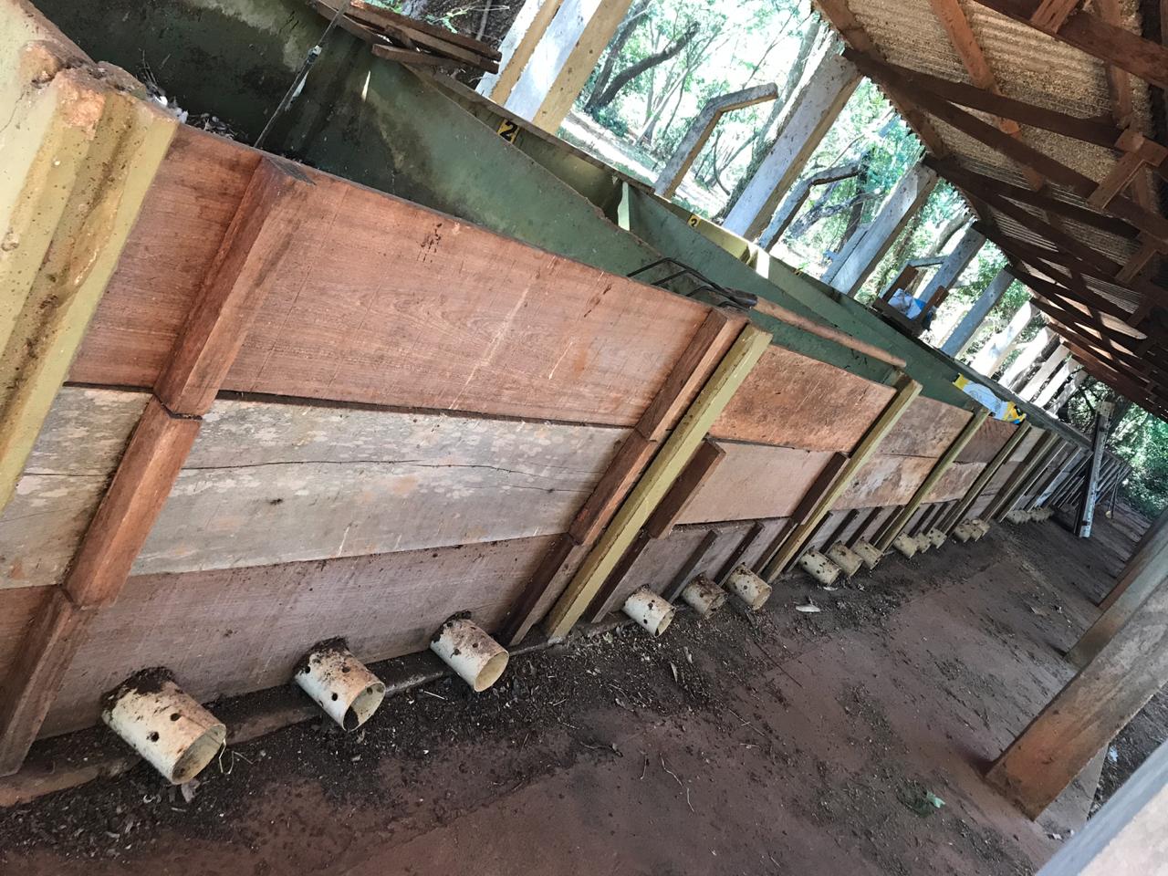 WhatsApp Image 2018-12-11 at 20.13.17.jpeg