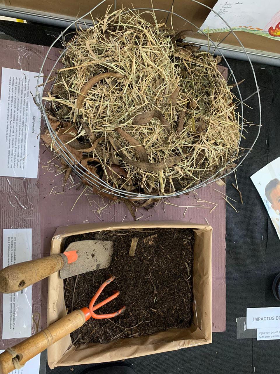 Imagem do WhatsApp de 2025-09-29 à(s) 22.28.51_dfbb8863.jpg