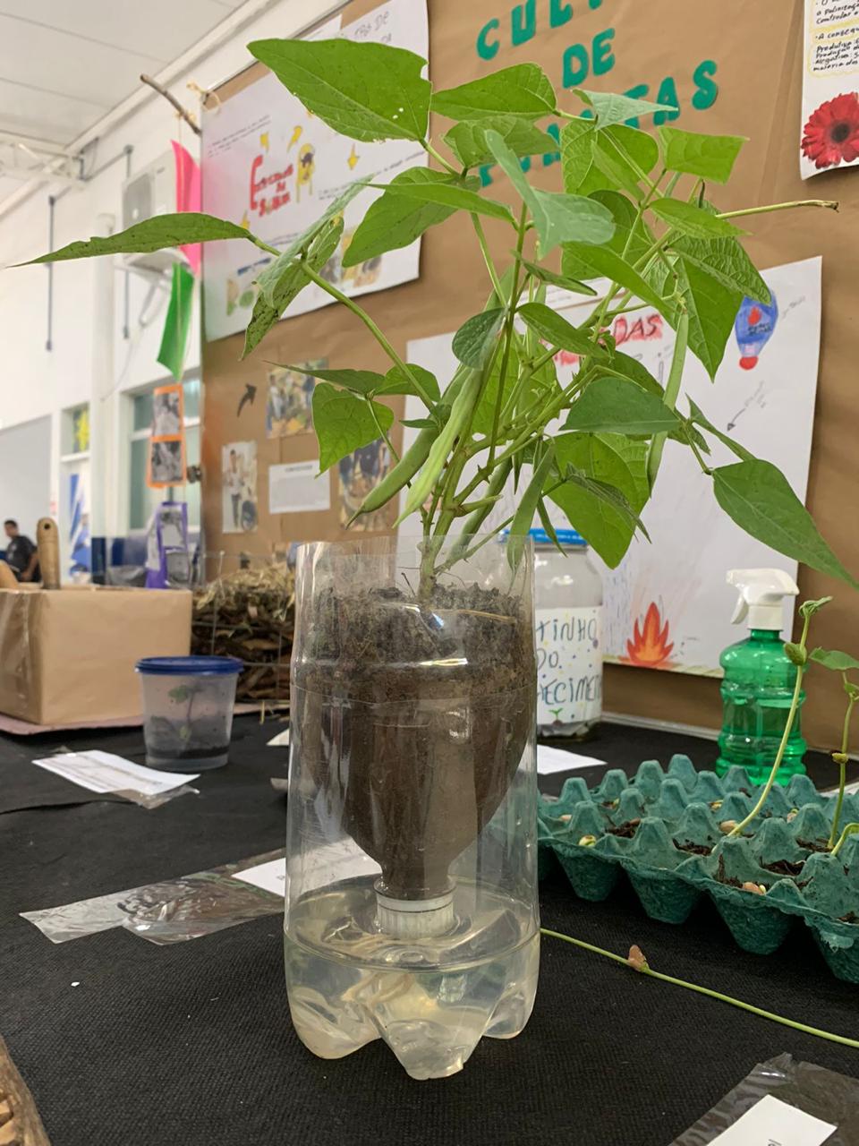 Imagem do WhatsApp de 2025-09-29 à(s) 22.28.53_be4e7f55.jpg