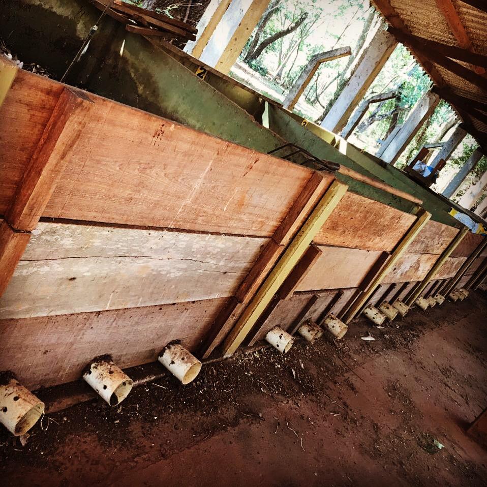 WhatsApp Image 2018-12-11 at 20.13.16.jpeg