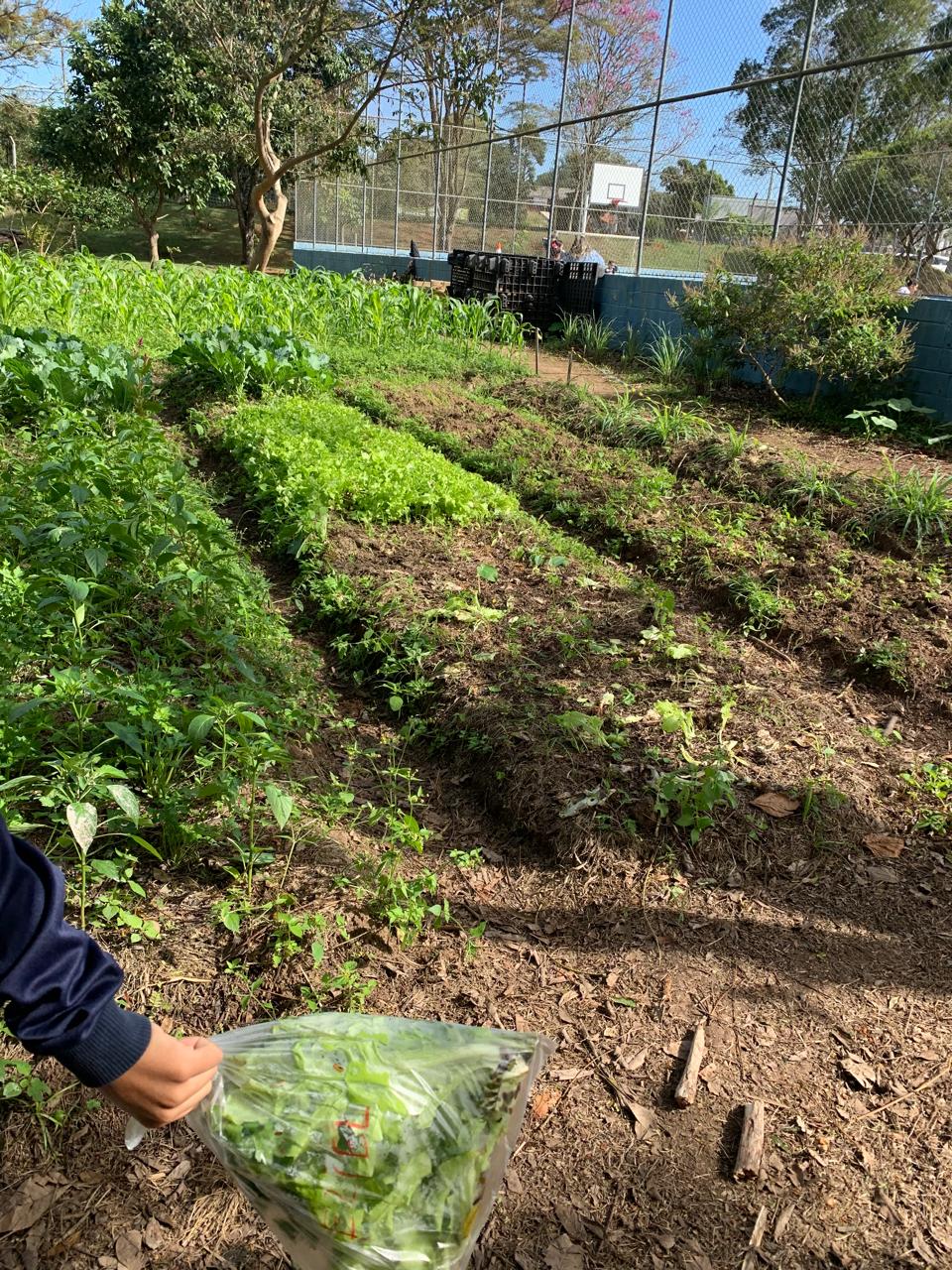 Imagem do WhatsApp de 2025-09-25 à(s) 10.31.38_81863fd2.jpg